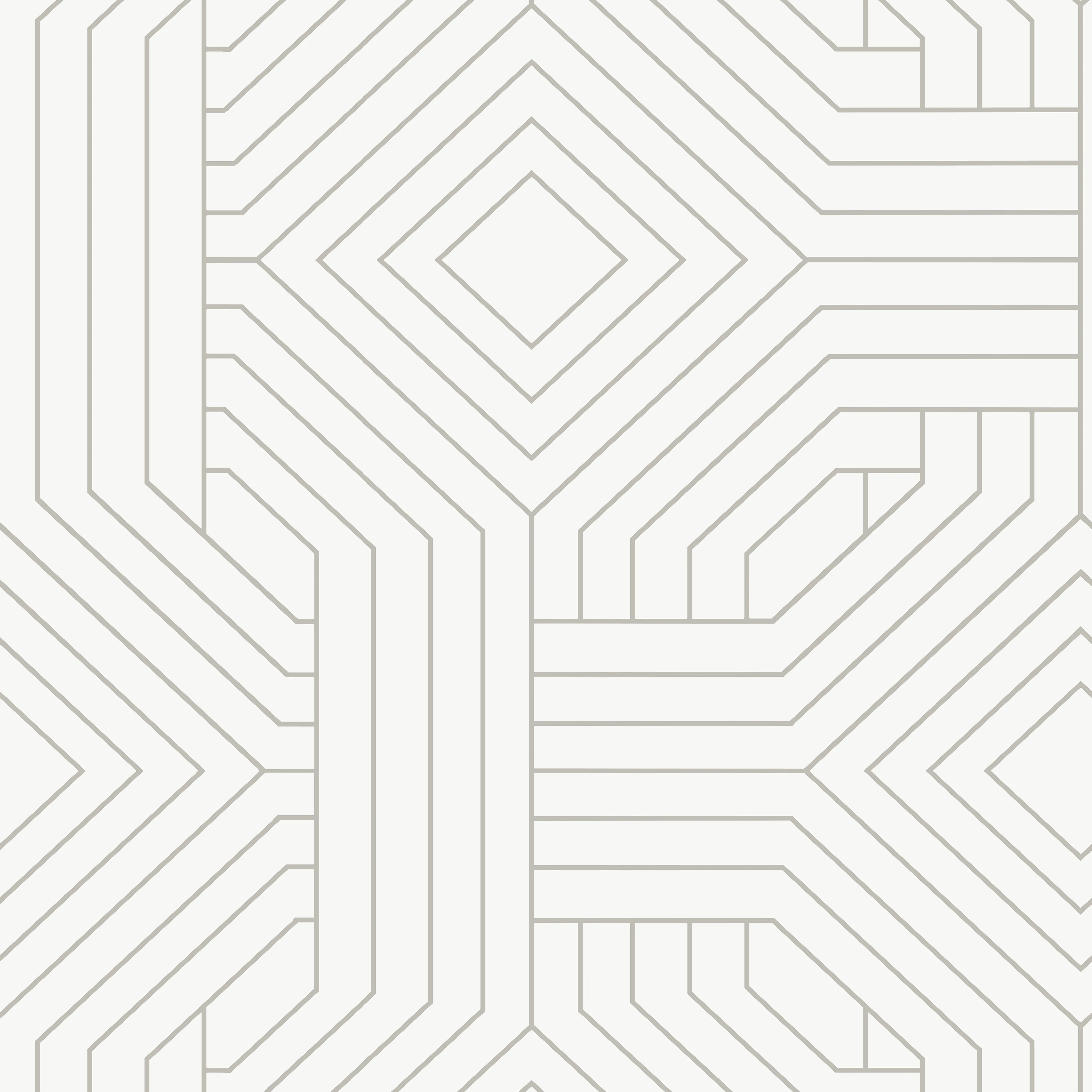 Kravet Design Candice Olson Collection W3798 in White & Silver (W3798.101.0)