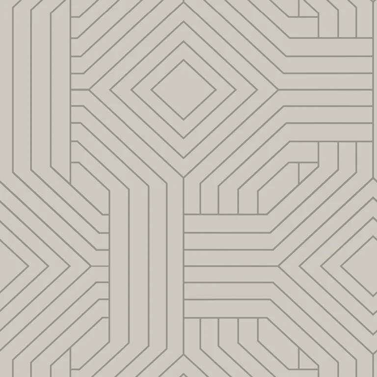 Kravet Design Candice Olson Collection W3798 in Taupe & Silver (W3798.11.0)