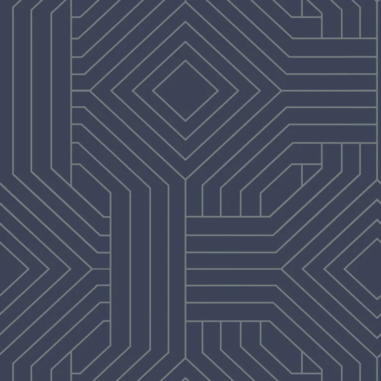 Kravet Design Candice Olson Collection W3798 in Dark Blue & Silver (W3798.50.0)