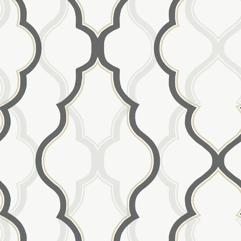 Kravet Design Candice Olson Collection W3799 in White & Charcoal (W3799.101.0)