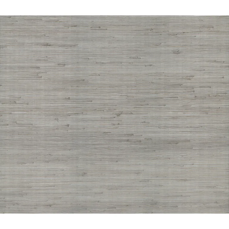 Kravet Design Candice Olson Modern Nature 2ND Edition W3874 in Light Blue & Silver (W3874.1511.0)