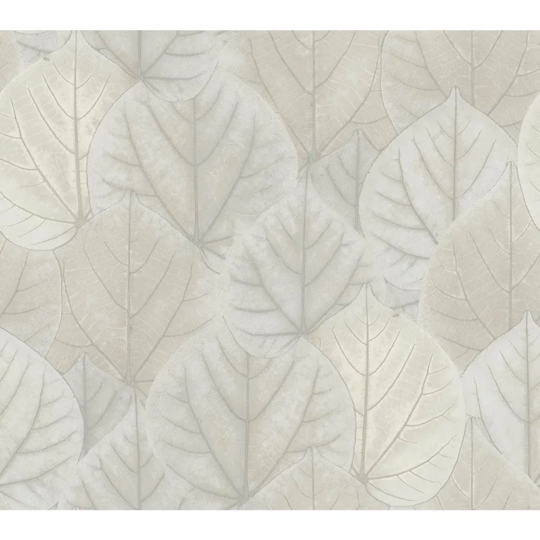 Kravet Design Candice Olson Modern Nature 2ND Edition W3880 in Light Grey & Ivory (W3880.1101.0)