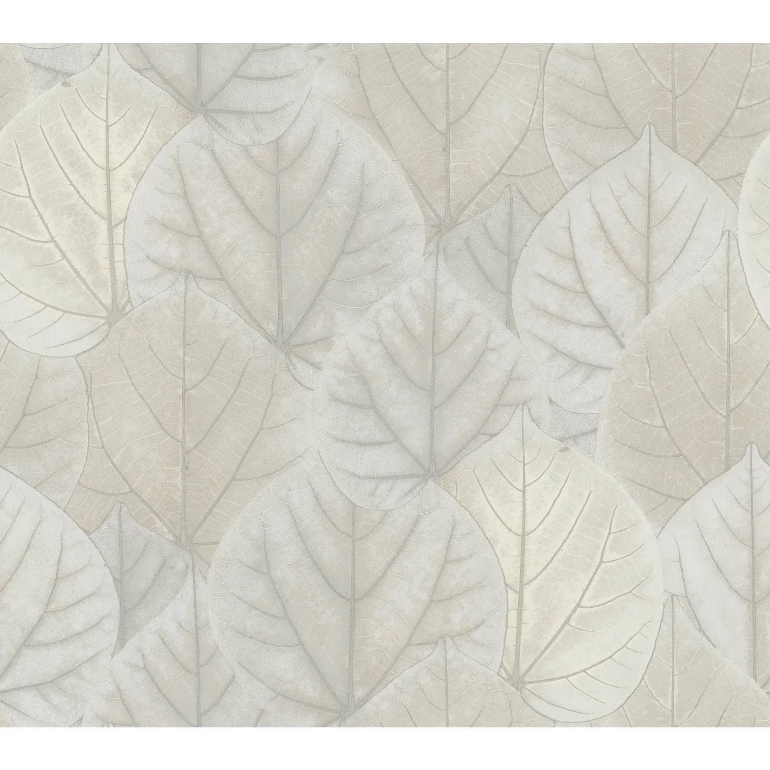 Kravet Design Candice Olson Modern Nature 2ND Edition W3880 in Light Grey & Ivory (W3880.1101.0)