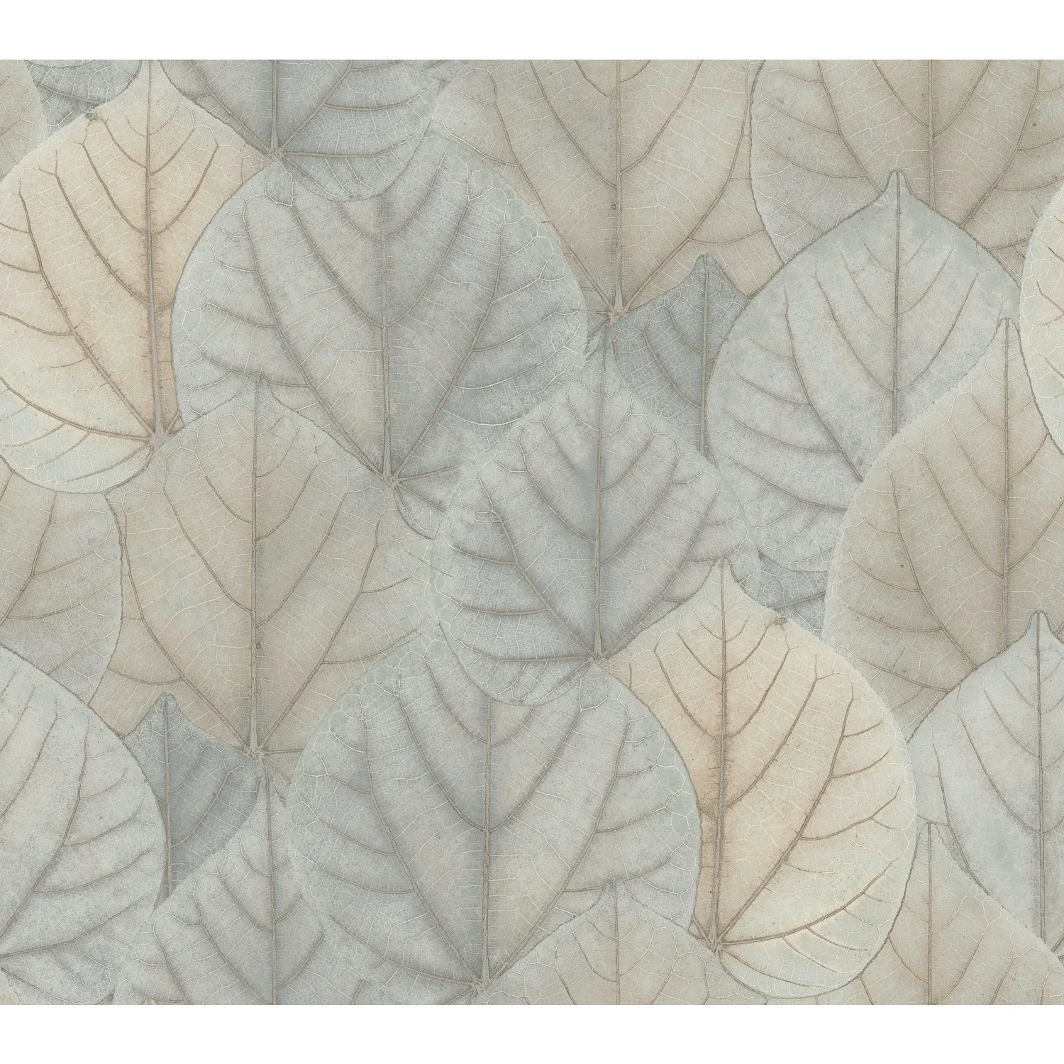 Kravet Design Candice Olson Modern Nature 2ND Edition W3880 in Sage & Taupe (W3880.130.0)