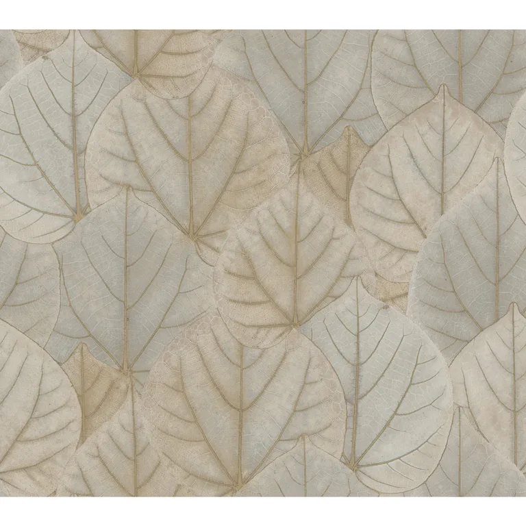 Kravet Design Candice Olson Modern Nature 2ND Edition W3880 in Taupe & Light Grey (W3880.1611.0)