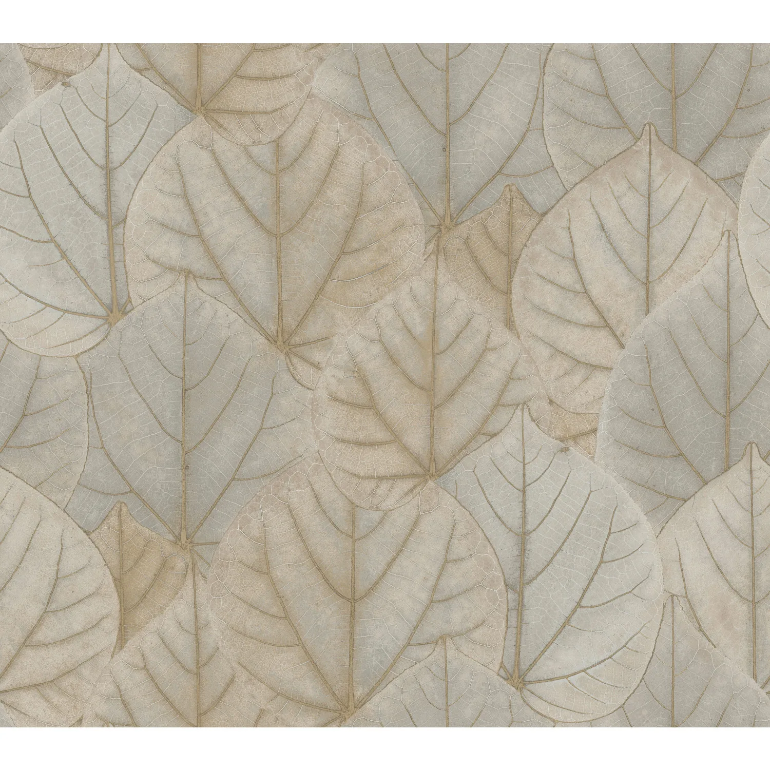 Kravet Design Candice Olson Modern Nature 2ND Edition W3880 in Taupe & Light Grey (W3880.1611.0)