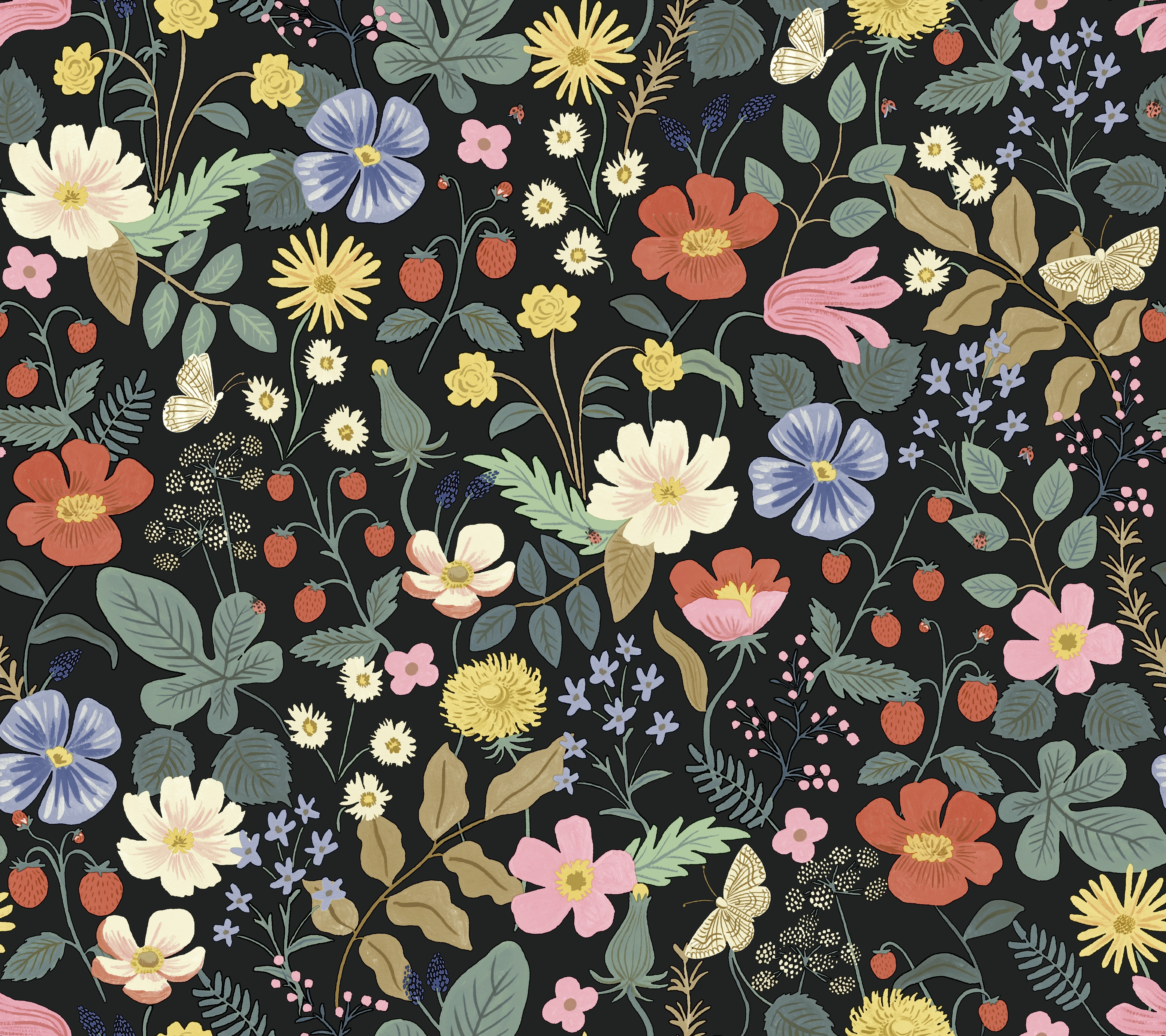 W3943.819.0 | Rifle Paper Co Second Edition W3943 – Black & Red