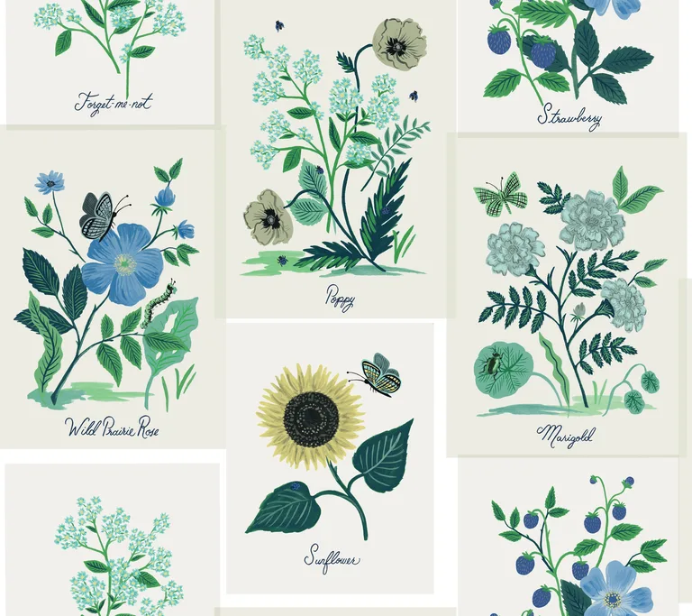 Kravet Design Rifle Paper Co Second Edition W3947 in Blue & Green (W3947.350.0)