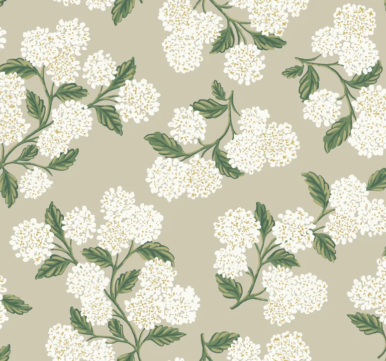 Kravet Design Rifle Paper Co Second Edition W3952 in Beige & Green (W3952.31.0)
