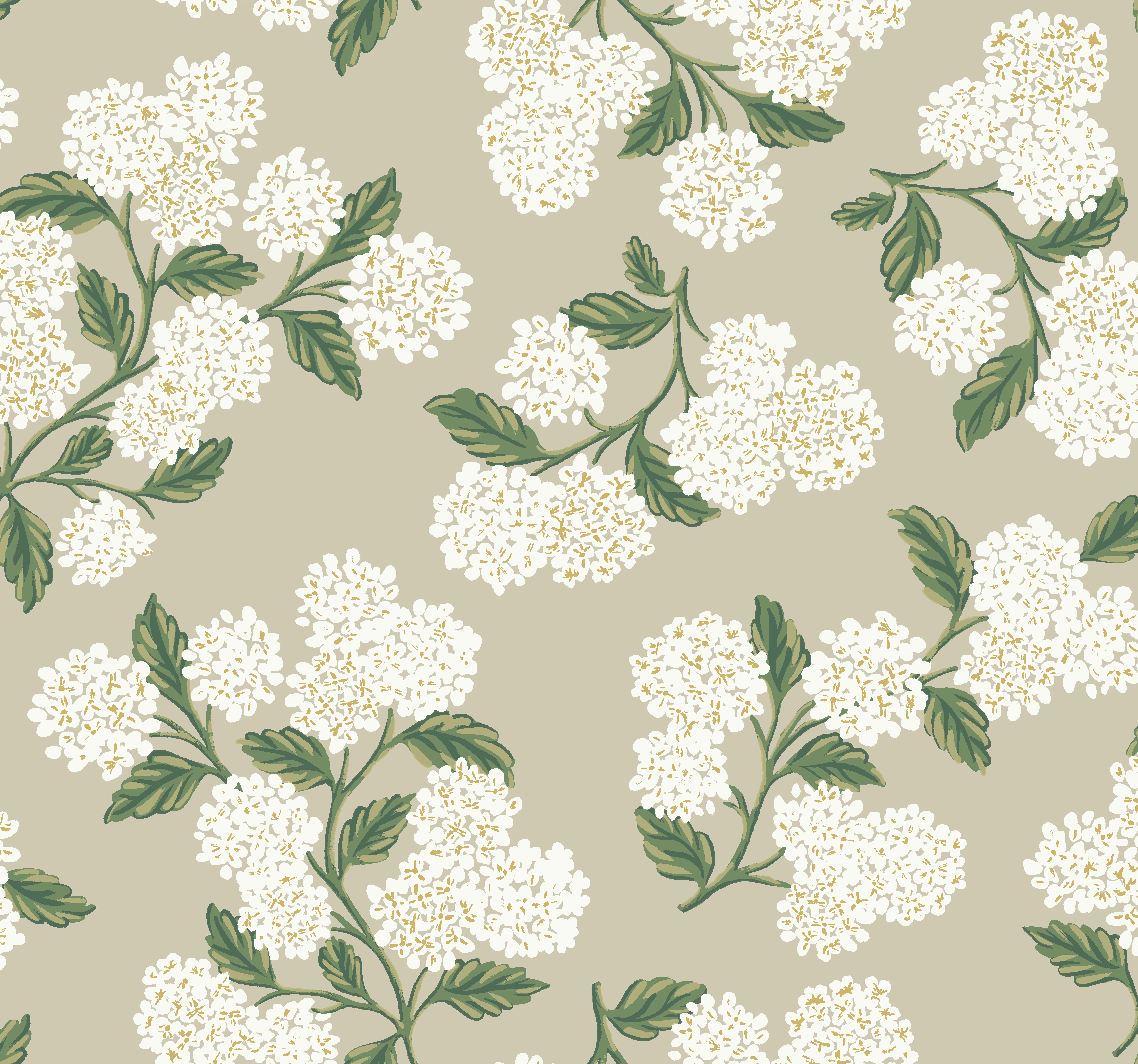 Kravet Design Rifle Paper Co Second Edition W3952 in Beige & Green (W3952.31.0)