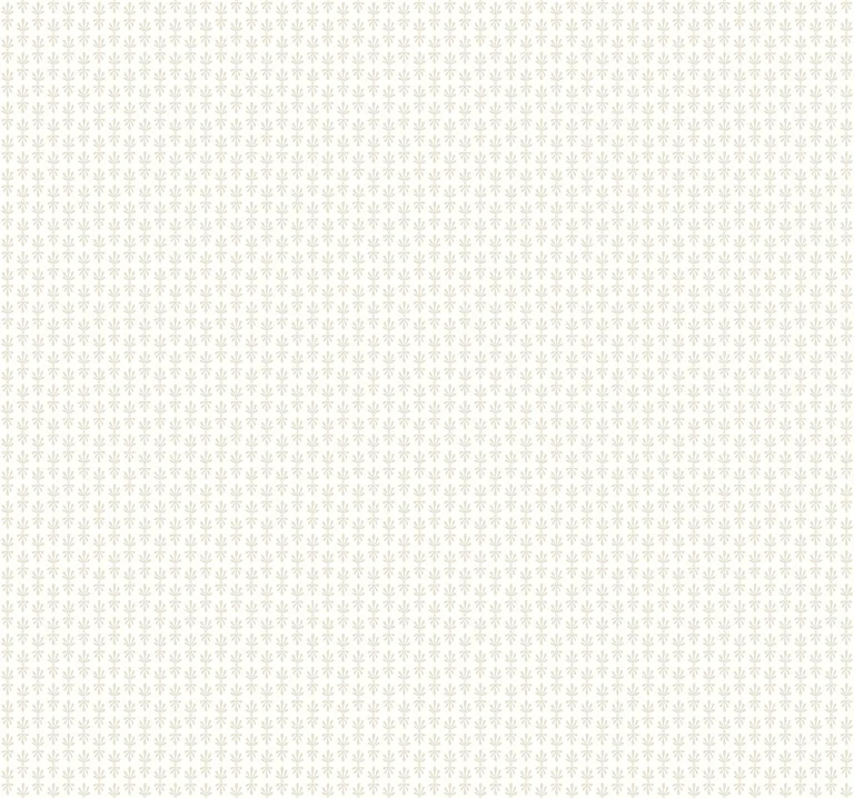 Kravet Design Rifle Paper Co Second Edition W3953 in Taupe & White (W3953.106.0)