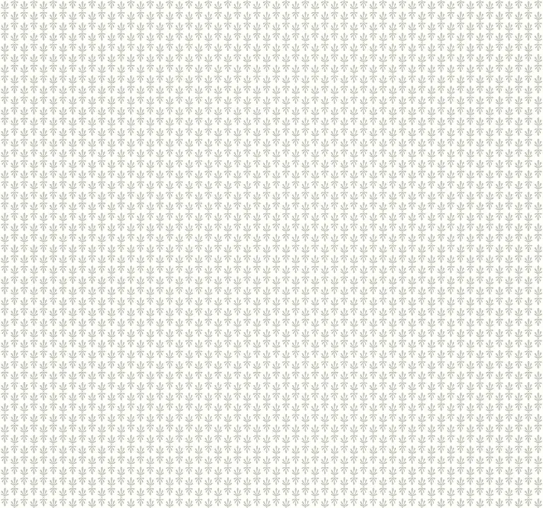 Kravet Design Rifle Paper Co Second Edition W3953 in Silver & White (W3953.11.0)