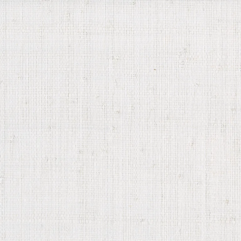 Kravet Design Elements II Naturals W3974 in White & White (W3974.101.0)