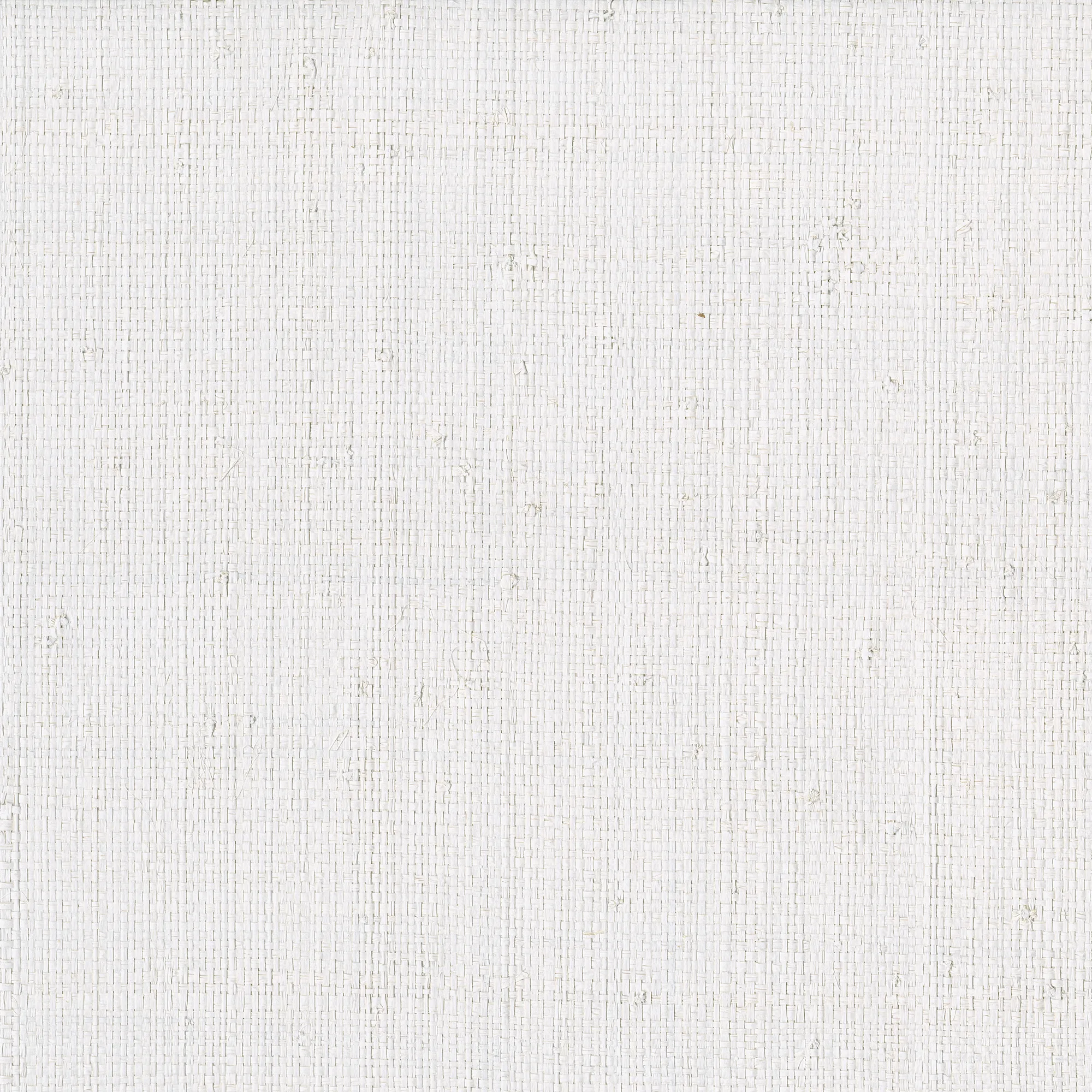 Kravet Design Elements II Naturals W3974 in White & White (W3974.101.0)