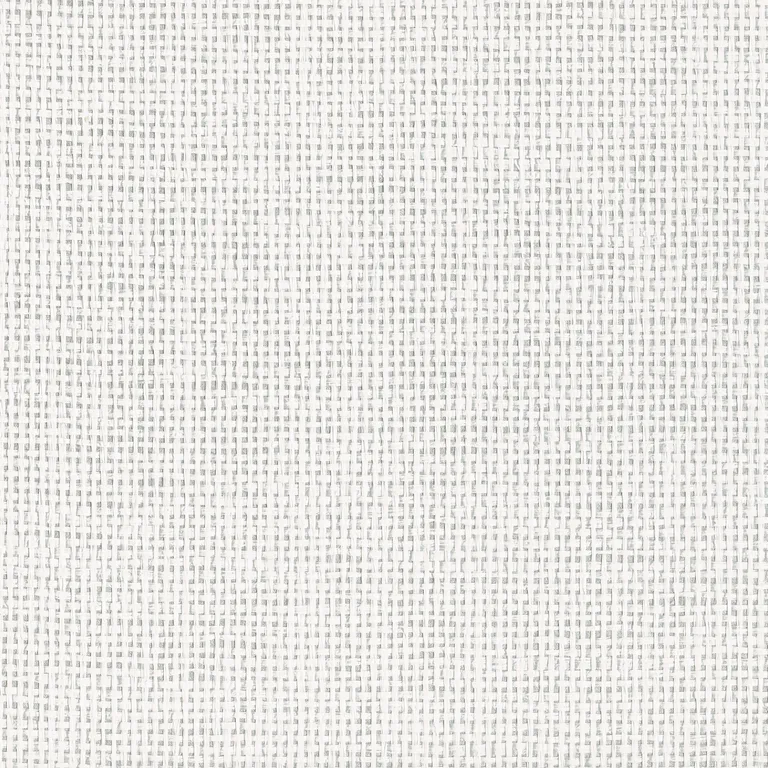 Kravet Design Elements II Naturals W3976 in White & Metallic (W3976.101.0)