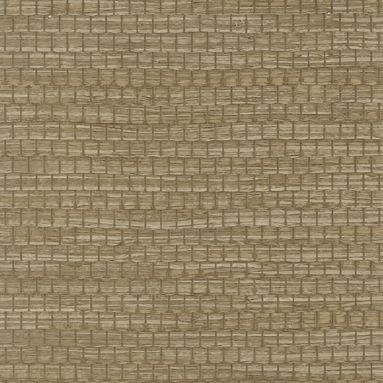 Kravet Design Elements II Naturals W3980 in Brown & Camel (W3980.6.0)