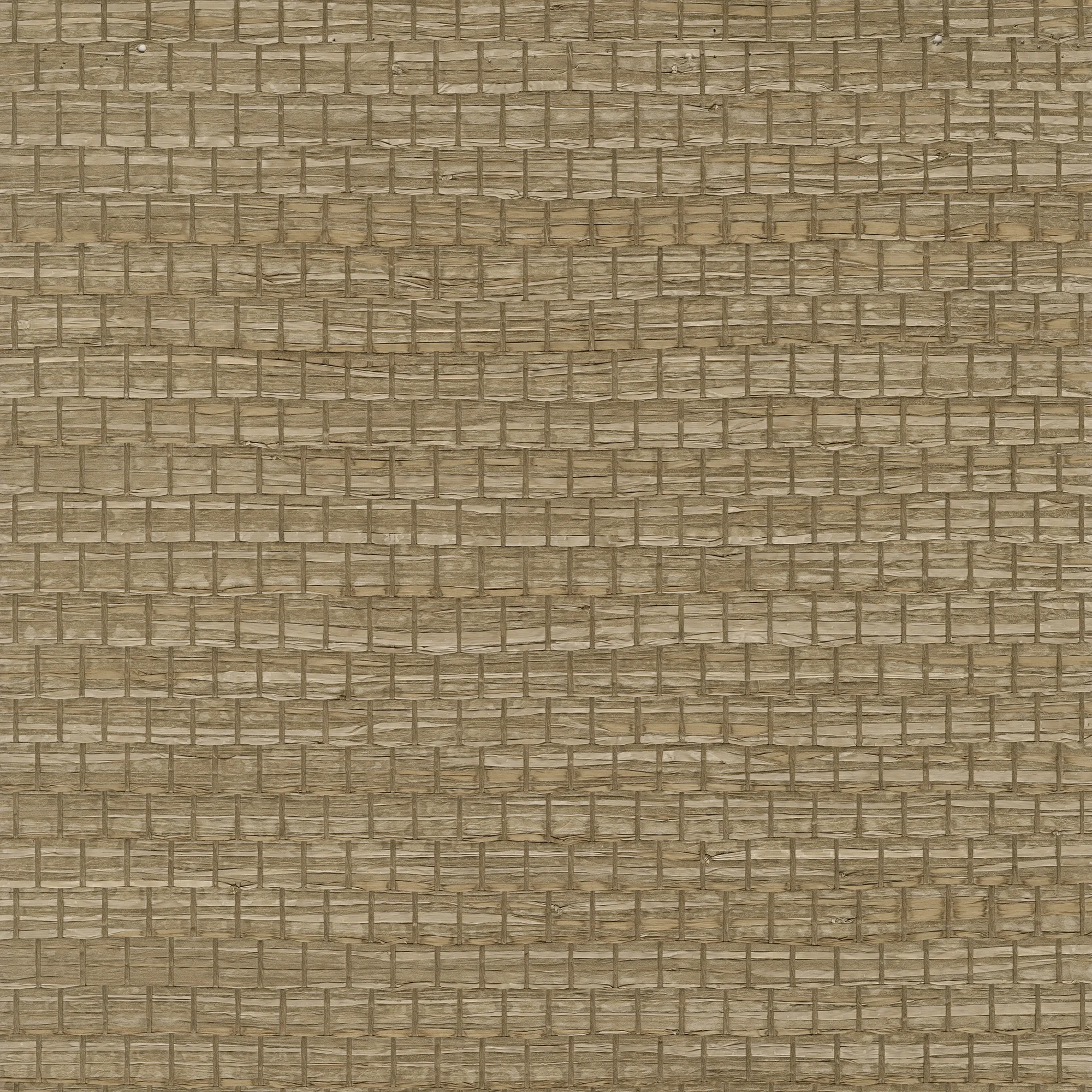 Kravet Design Elements II Naturals W3980 in Brown & Camel (W3980.6.0)