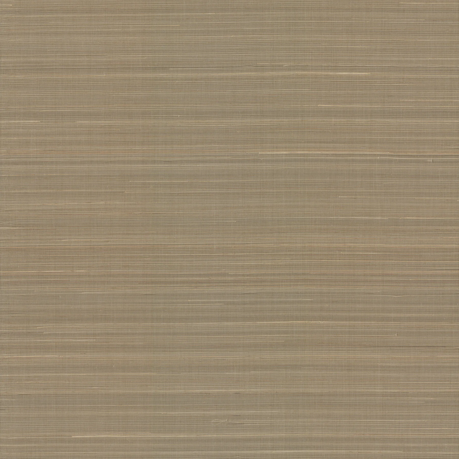 Kravet Design Elements II Naturals W3998 in Bronze & Beige (W3998.616.0)