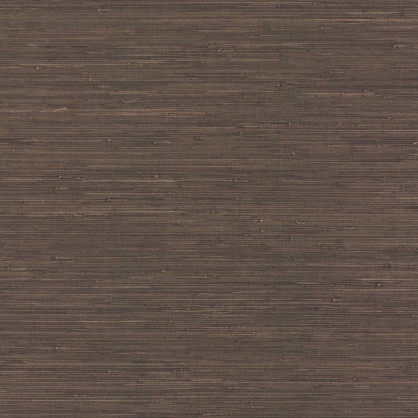 Kravet Design Elements II Naturals W4002 in Espresso & Chocolate (W4002.66.0)