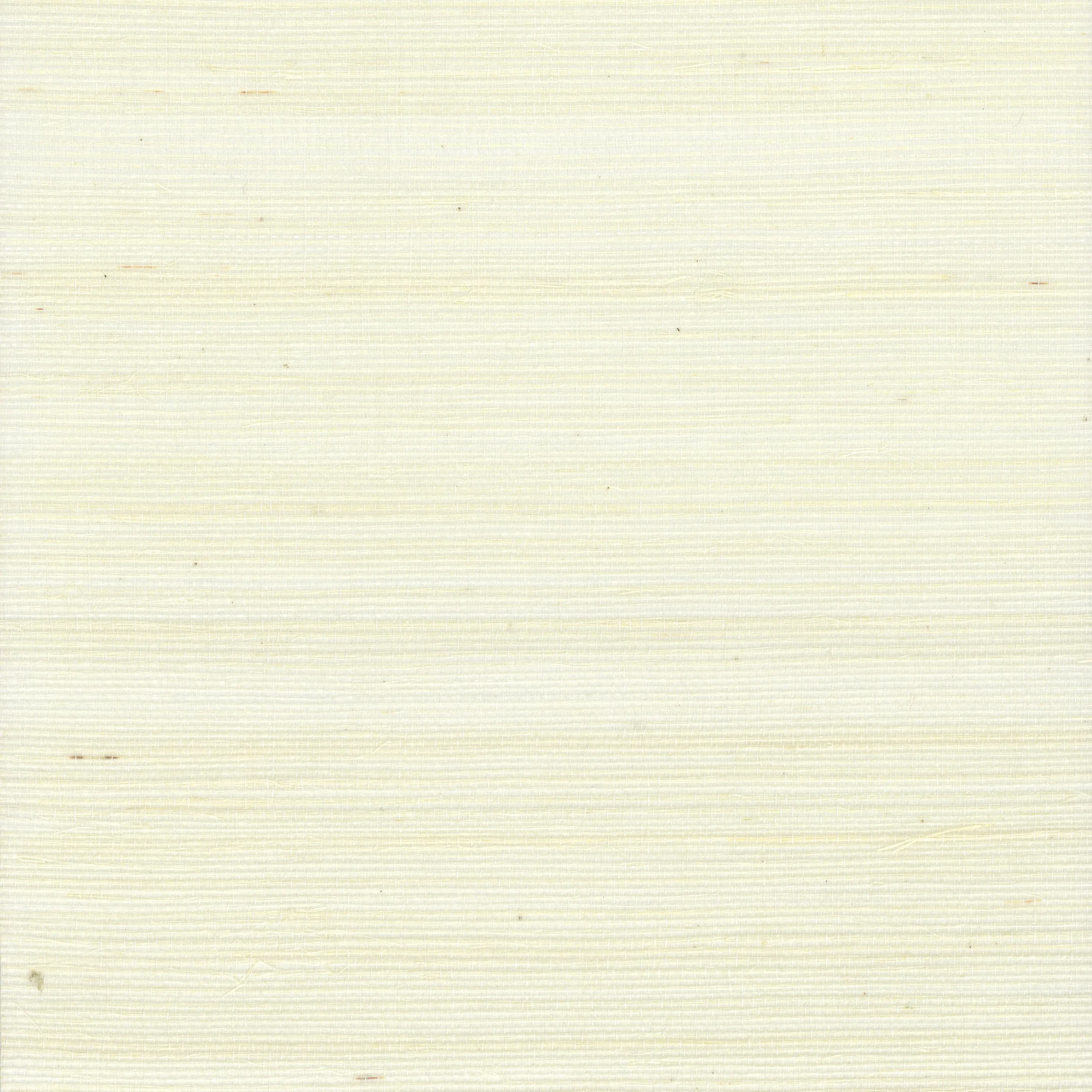 Kravet Design Grasscloth & Textures W4003 in White & Ivory (W4003.101.0)