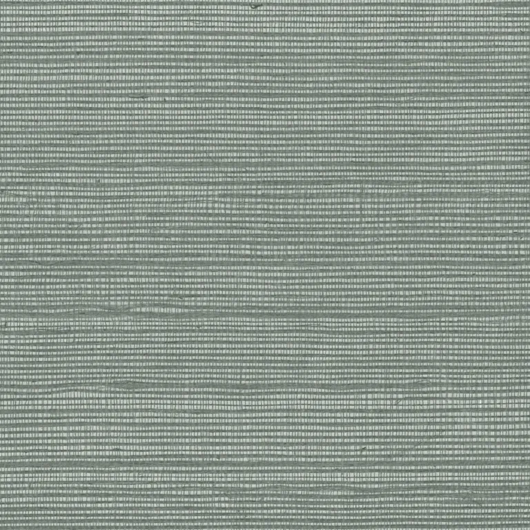 Kravet Design Elements II Naturals W4003 in Silver & Metallic (W4003.11.0)