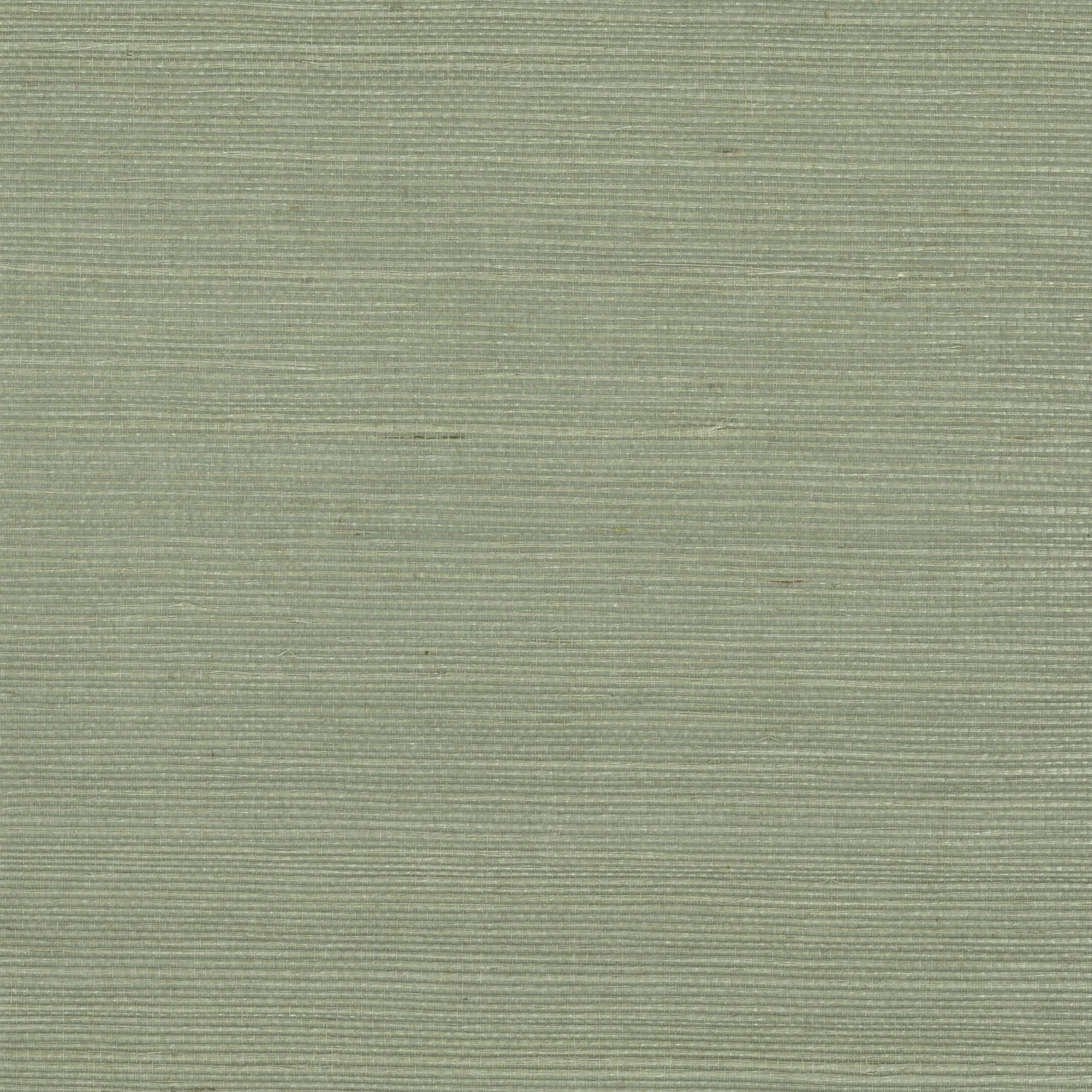 Kravet Design Grasscloth & Textures W4003 in Celery & Olive Green (W4003.3.0)