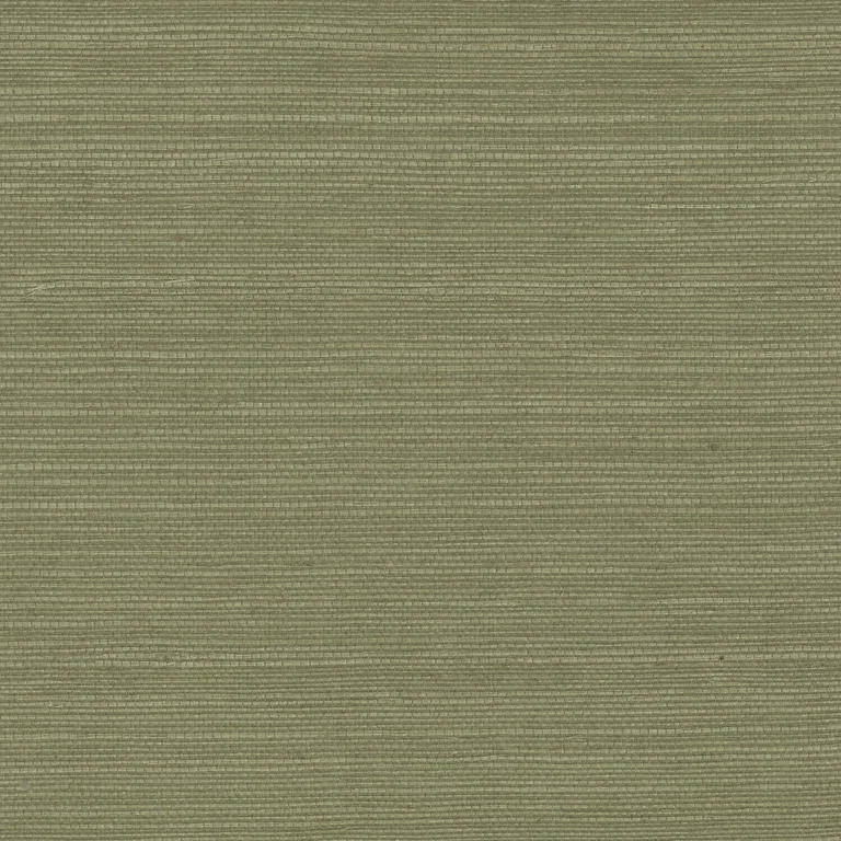 Kravet Design Elements II Naturals W4003 in Sage & Olive Green (W4003.30.0)