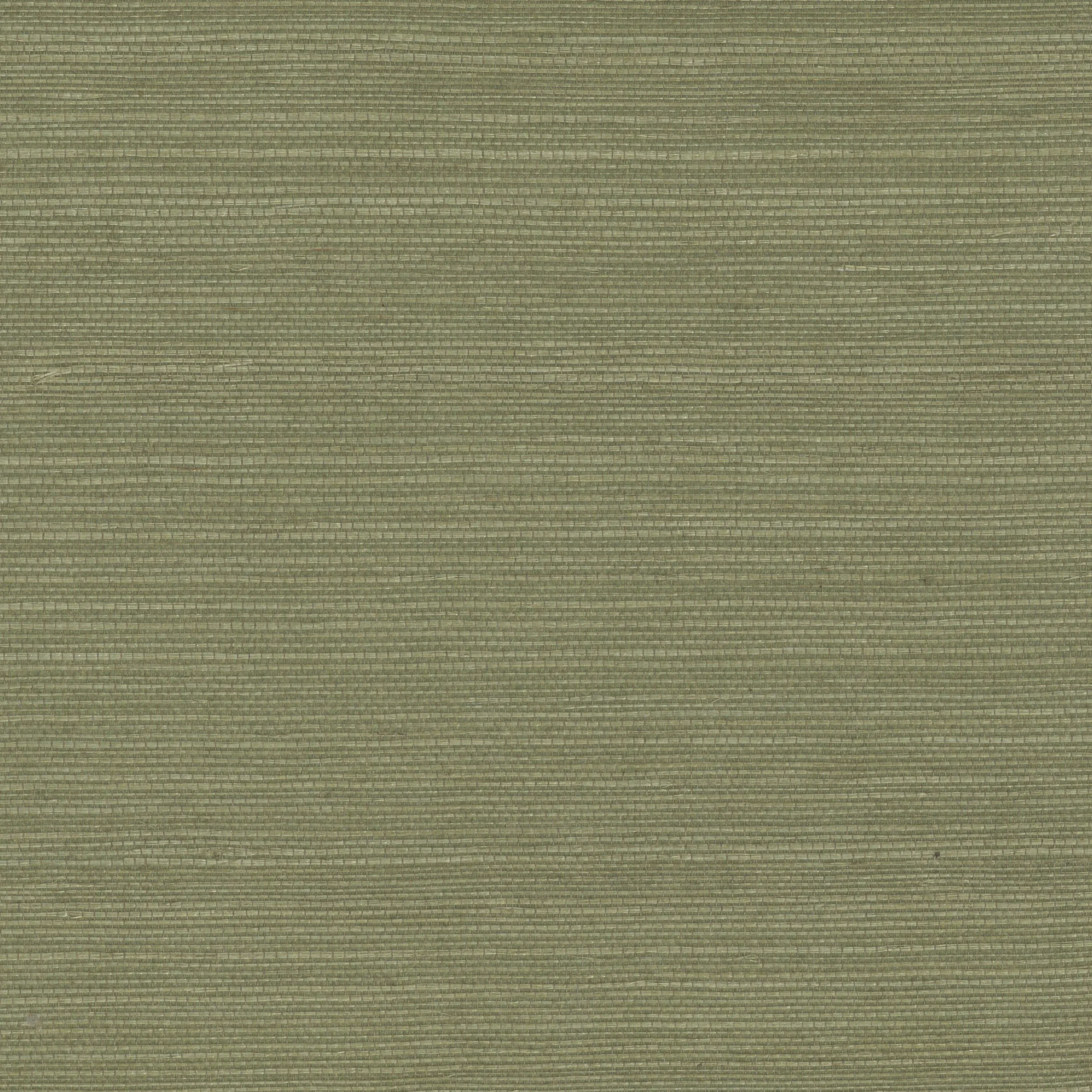 W4003.30.0 | Elements II Naturals W4003 – Sage & Olive Green