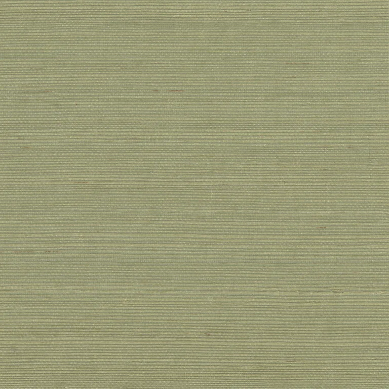 Kravet Design Elements II Naturals W4003 in Green & Olive Green (W4003.303.0)