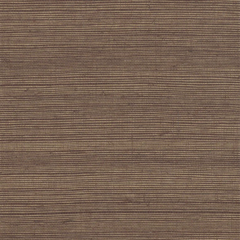 Kravet Design Grasscloth & Textures W4003 in Metallic & Bronze (W4003.6.0)