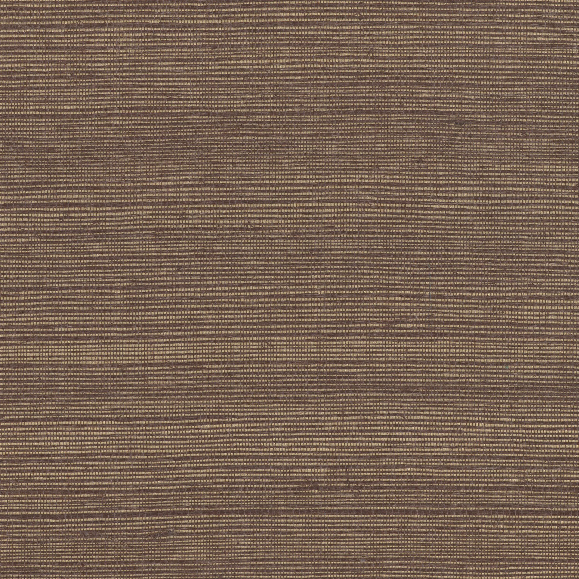 Kravet Design Grasscloth & Textures W4003 in Metallic & Bronze (W4003.6.0)