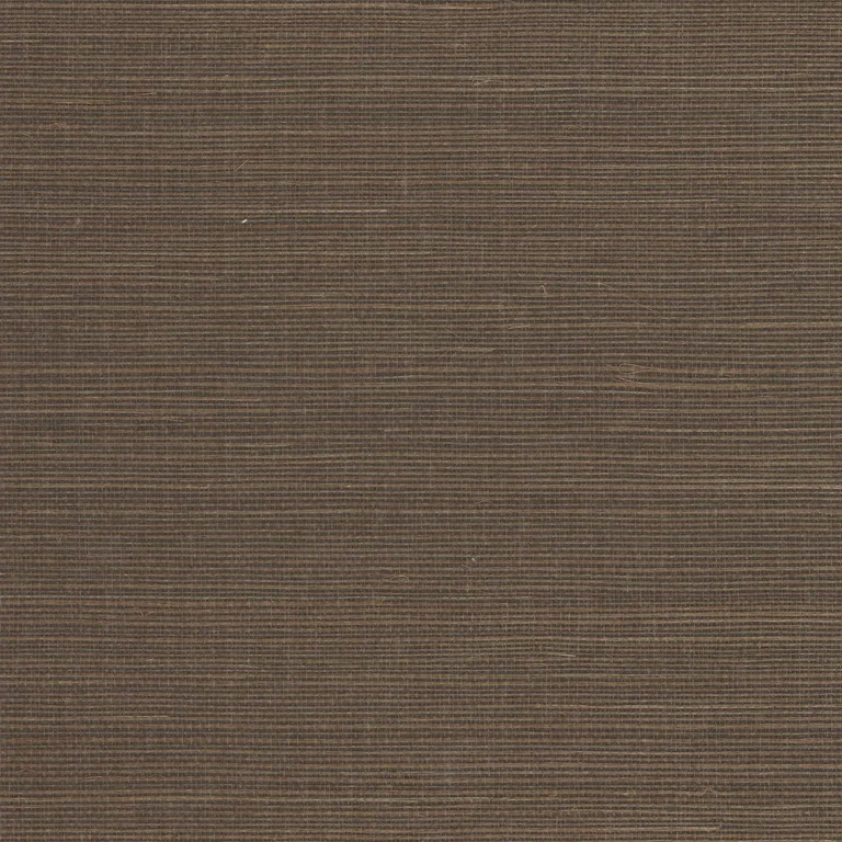 Kravet Design Elements II Naturals W4003 in Chocolate & Brown (W4003.66.0)