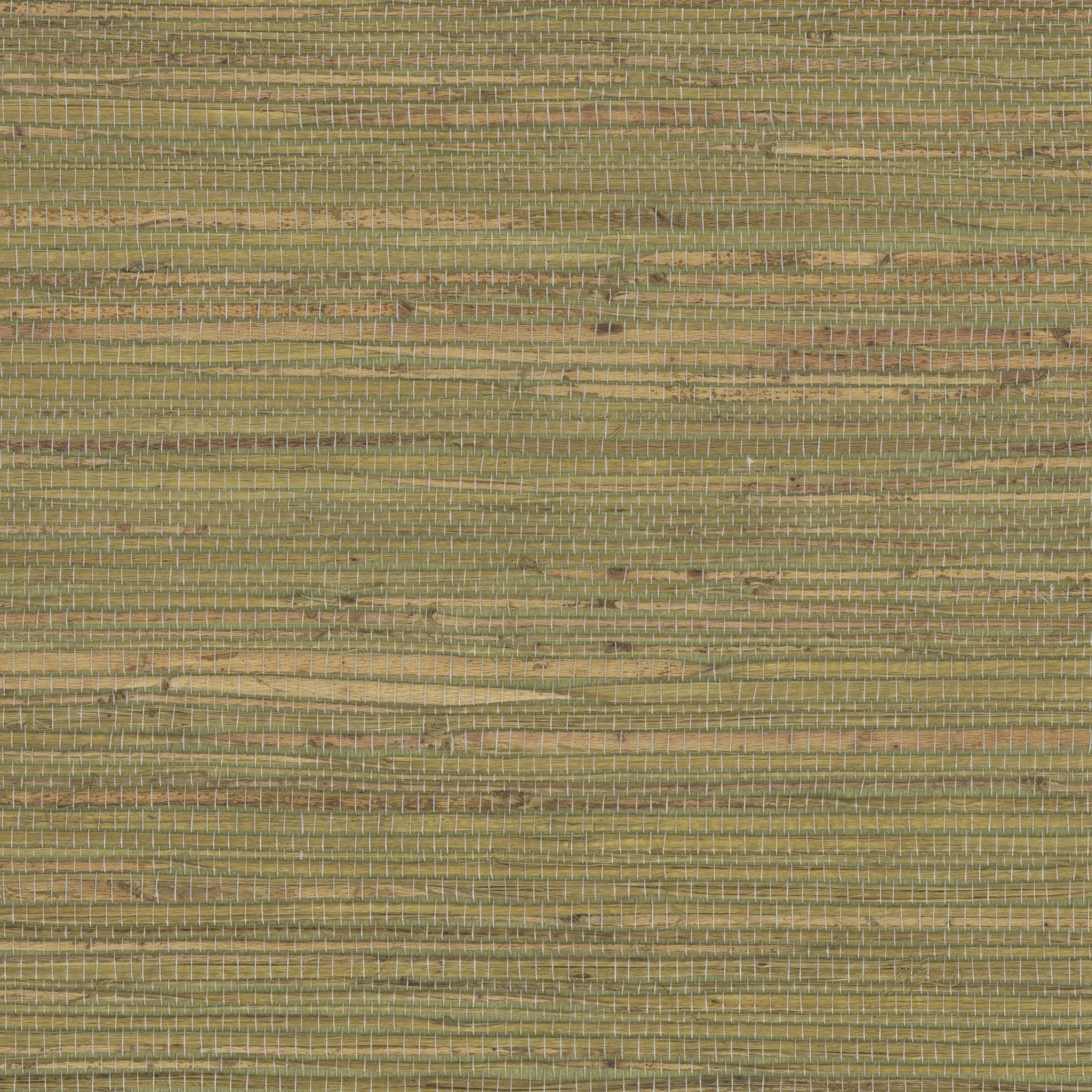 Kravet Design Elements II Naturals W4007 in Sage & Brown (W4007.316.0)