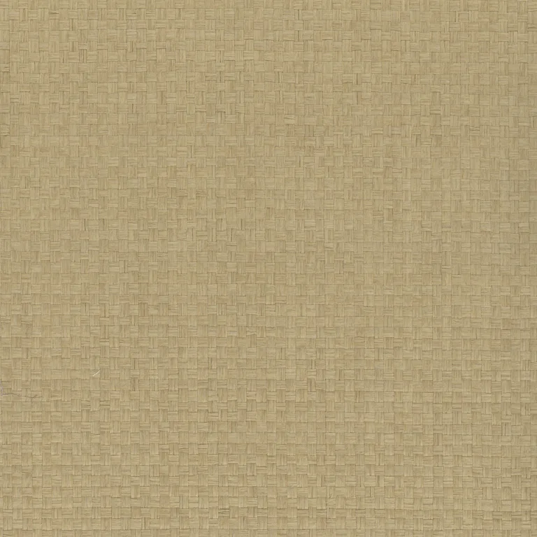 Kravet Design Elements II Naturals W4009 in Wheat & Beige (W4009.16.0)