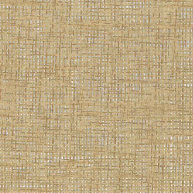 Kravet Design Elements II Naturals W4011 in Beige & Metallic (W4011.4.0)
