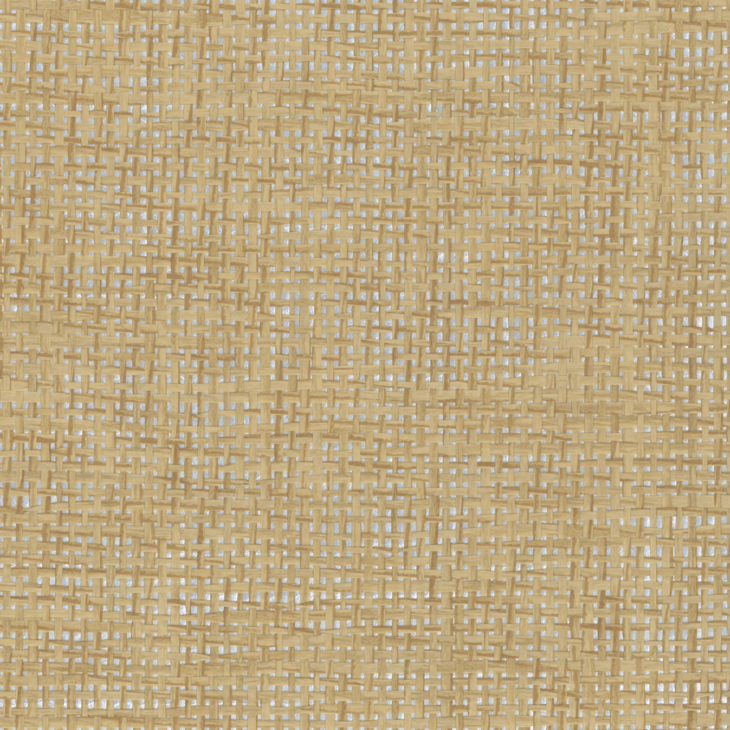 Kravet Design Elements II Naturals W4011 in Beige & Metallic (W4011.4.0)