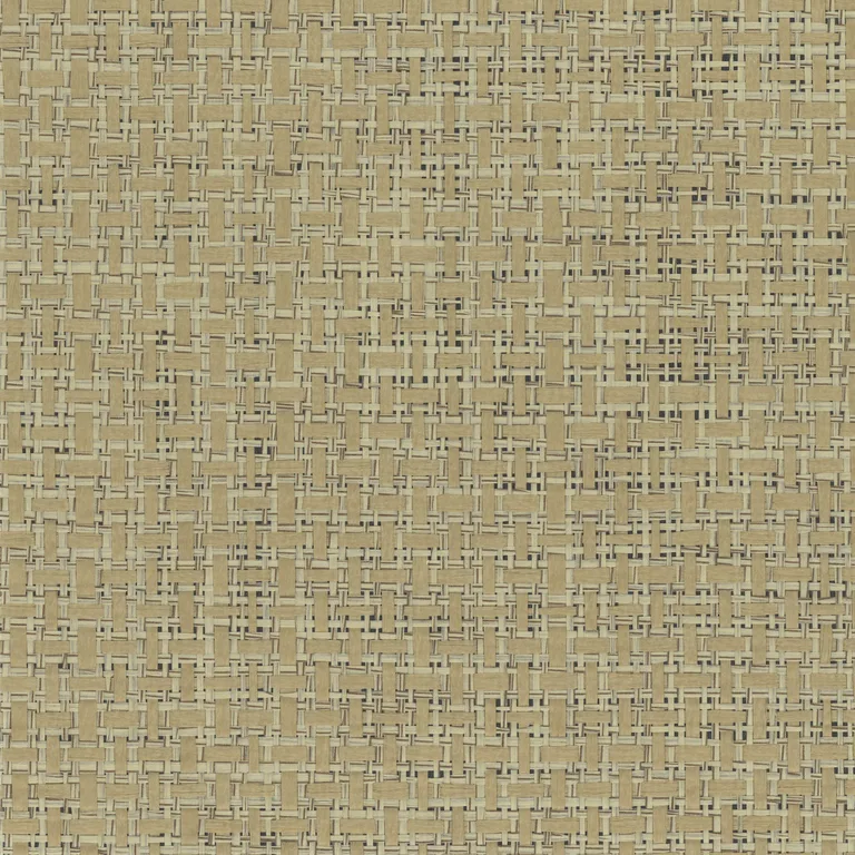 Kravet Design Elements II Naturals W4018 in Camel & Black (W4018.816.0)