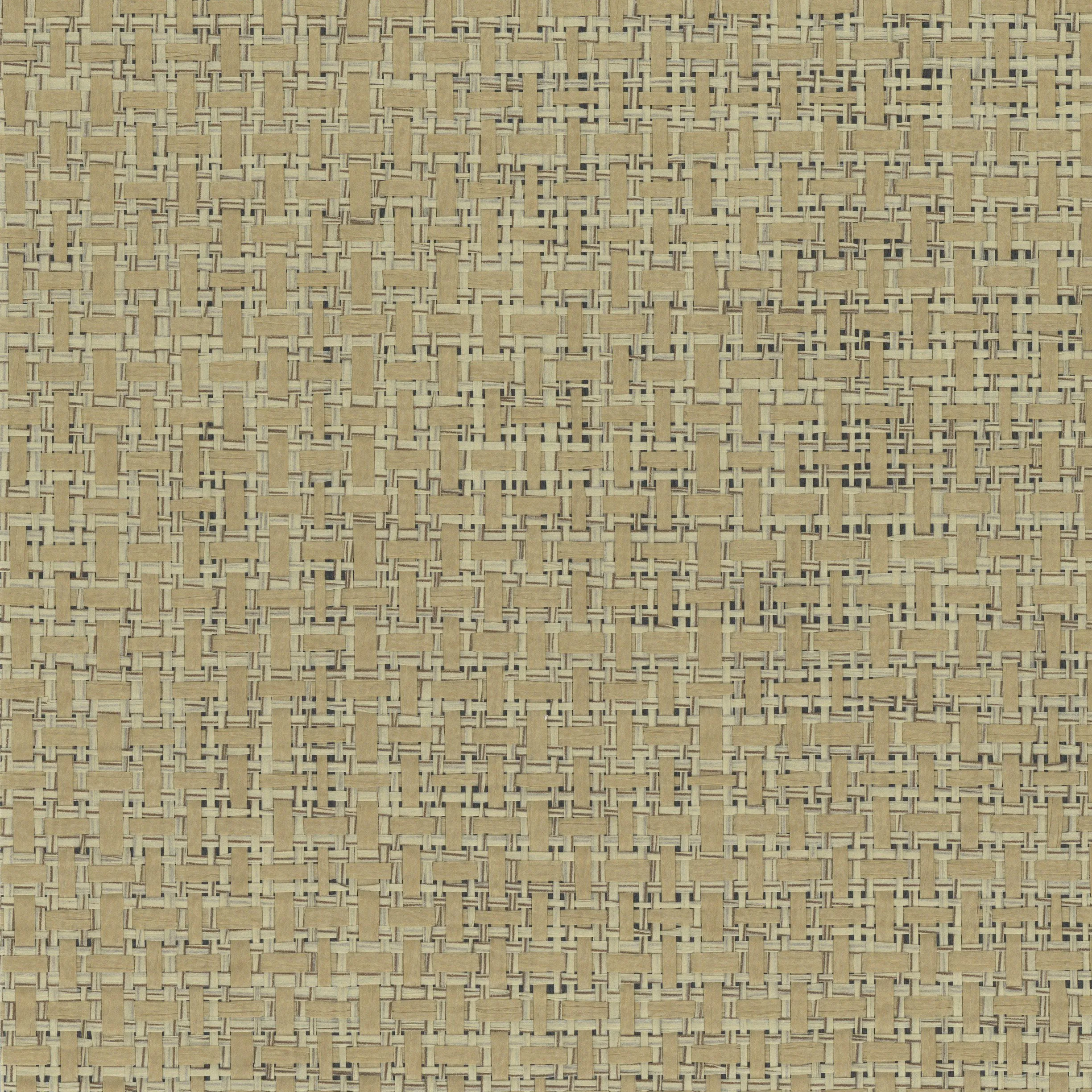 Kravet Design Elements II Naturals W4018 in Camel & Black (W4018.816.0)