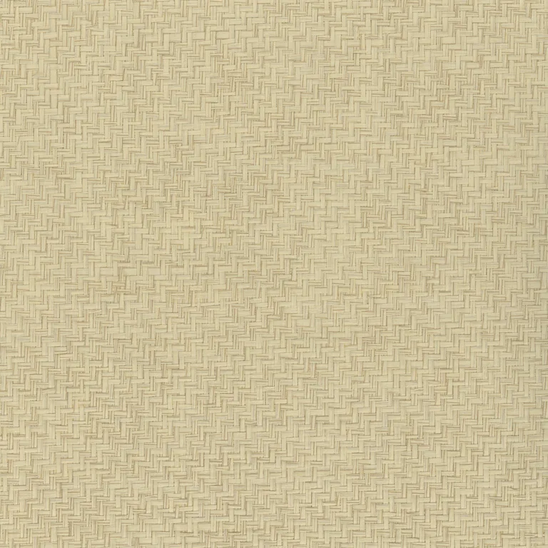 Kravet Design Elements II Naturals W4021 in Beige & Beige (W4021.16.0)