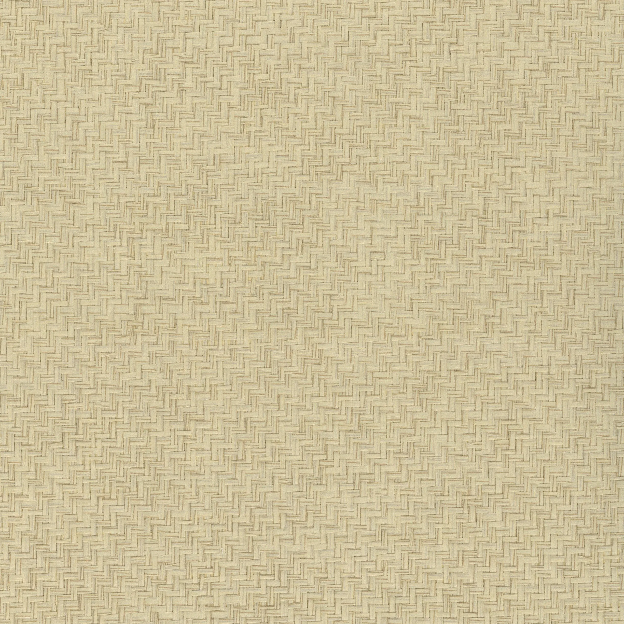 Kravet Design Elements II Naturals W4021 in Beige & Beige (W4021.16.0)