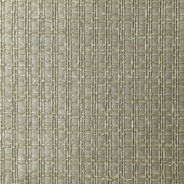 Kravet Design Elements II Naturals W4022 in Grey & Silver (W4022.11.0)