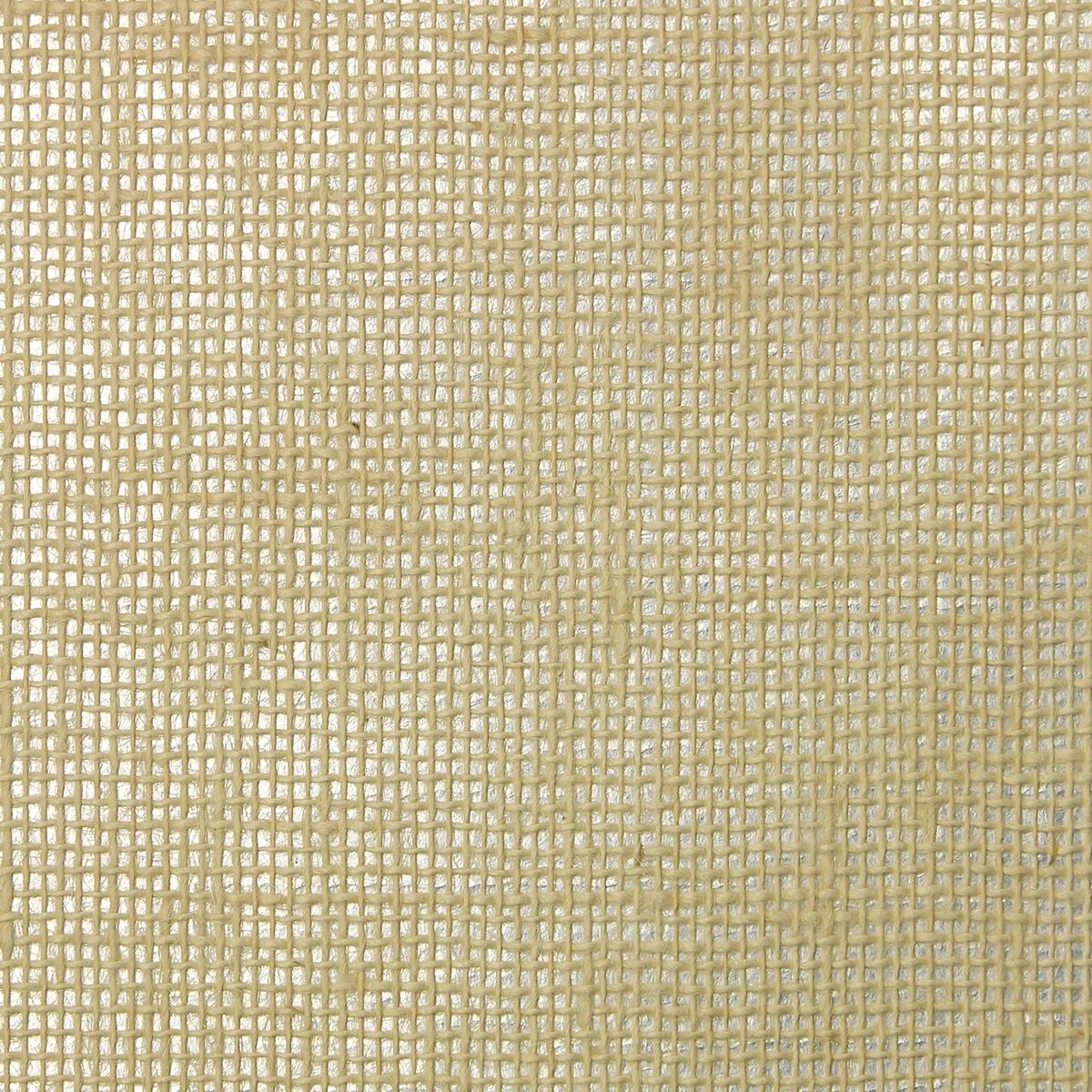 Kravet Design Elements II Naturals W4030 in Ivory & Metallic (W4030.1.0)