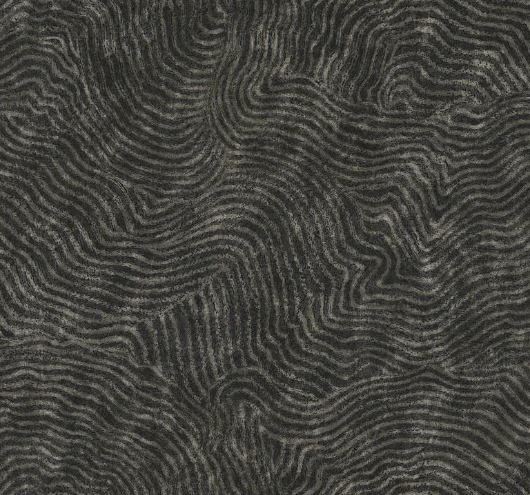 Kravet Design New Origins W4123 in Black (W4123.8.0)
