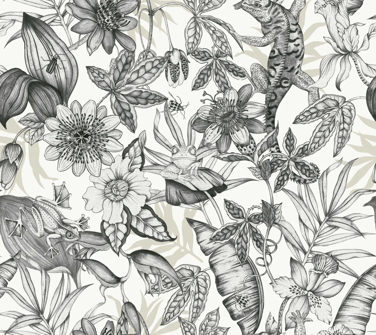 Kravet Design Blooms Second Edition Resource Library W4131 in Charcoal & White (W4131.8.0)