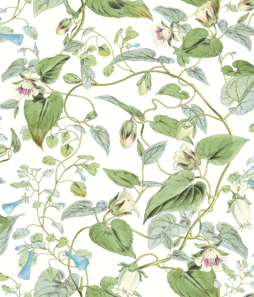 Kravet Design Blooms Second Edition Resource Library W4132 in Green & Light Blue (W4132.31.0)