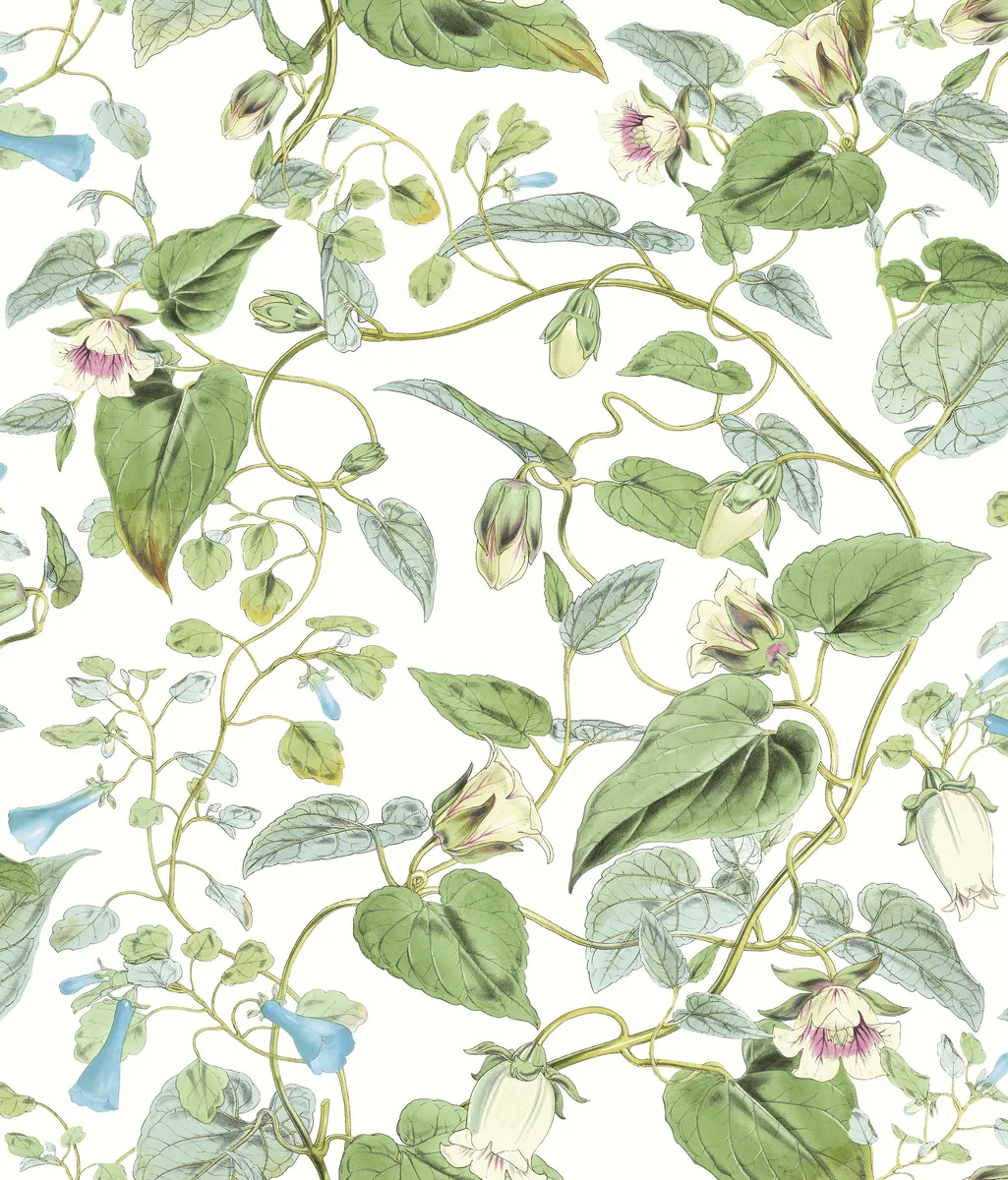 W4132.31.0 | Blooms Second Edition Resource Library W4132 – Green & Light Blue