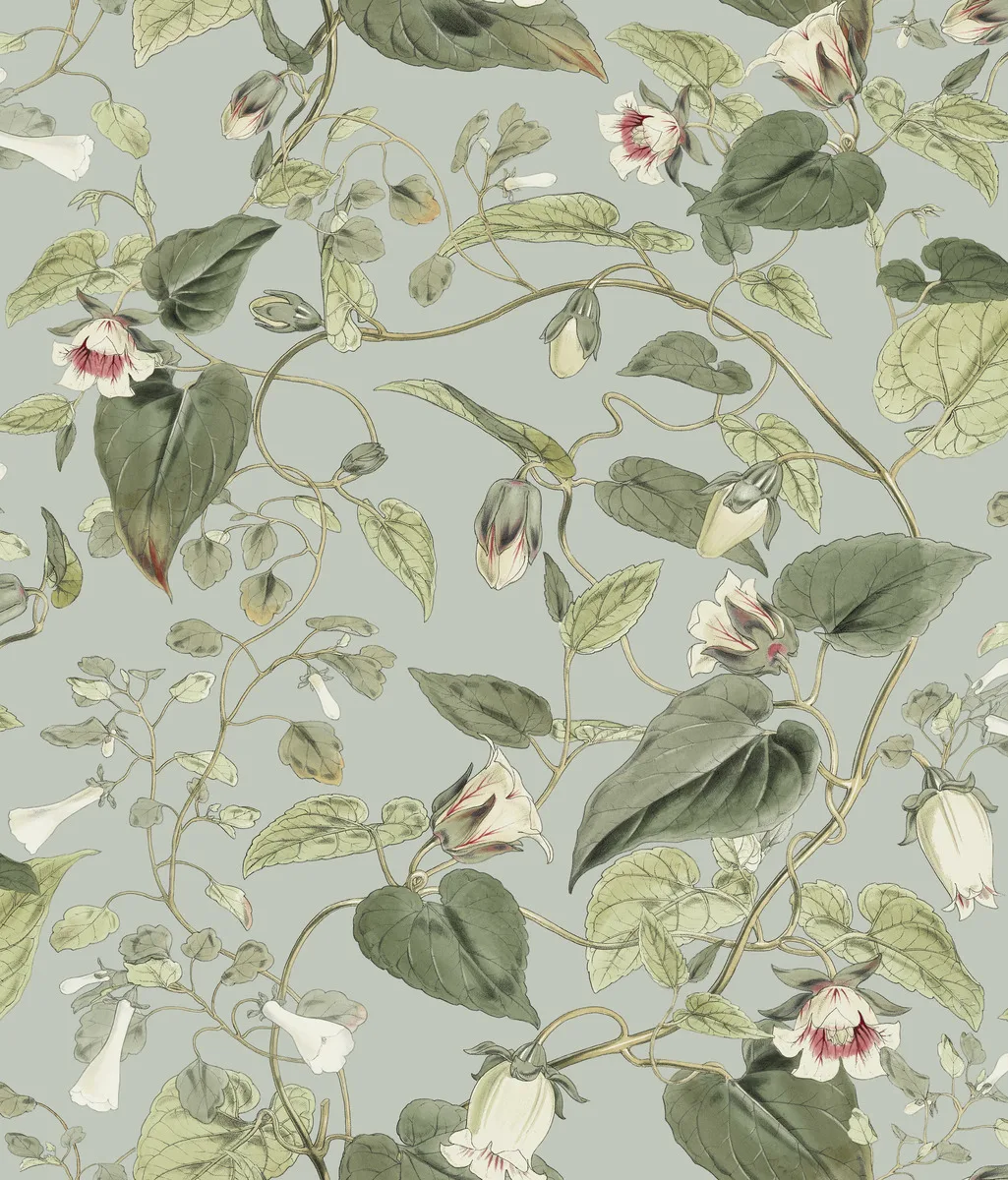 Kravet Design Blooms Second Edition Resource Library W4132 in Grey & Green (W4132.311.0)