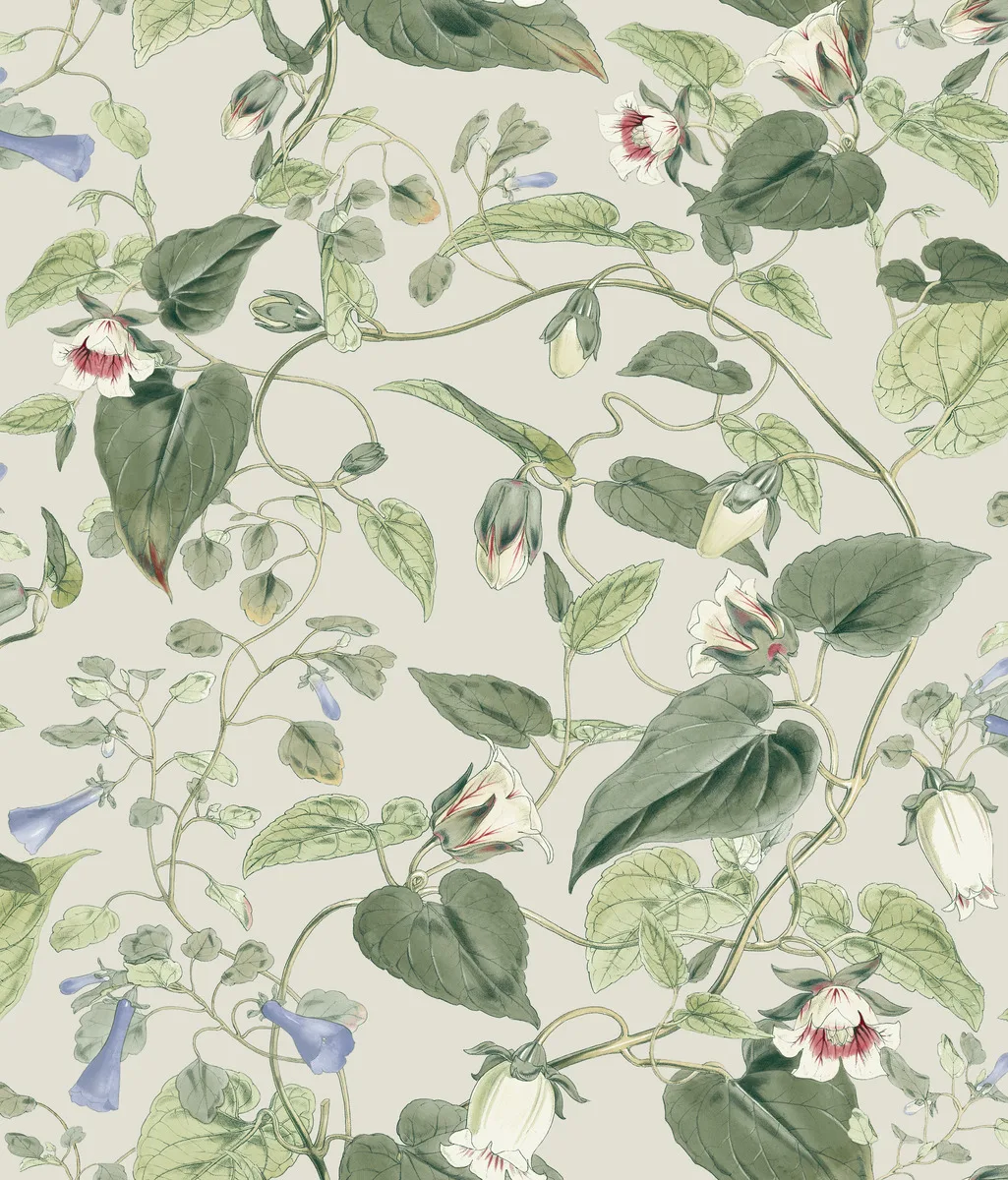 W4132.315.0 | Blooms Second Edition Resource Library W4132 – Taupe & Green