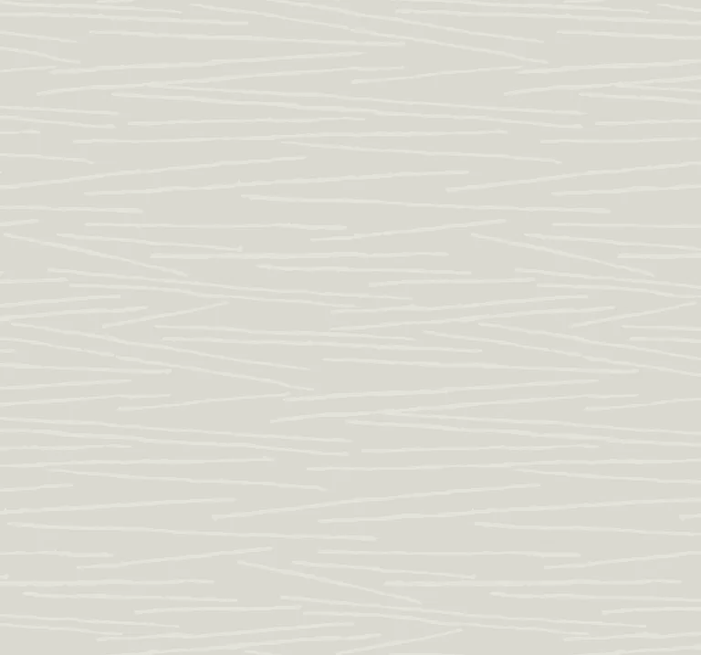 Kravet Design Candice Olson Casual Elegance W4158 in Light Grey & Grey (W4158.1101.0)