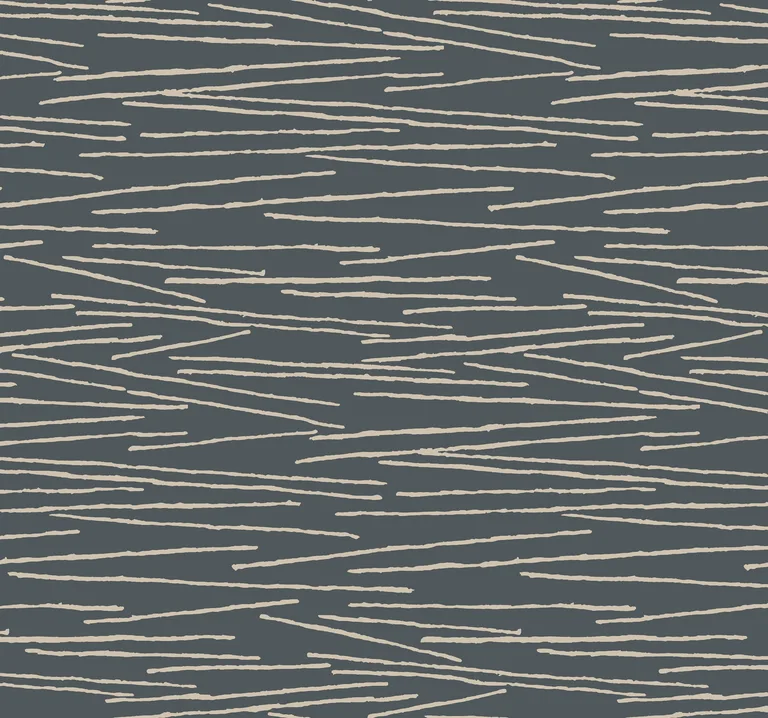Kravet Design Candice Olson Casual Elegance W4158 in Black & Beige (W4158.816.0)